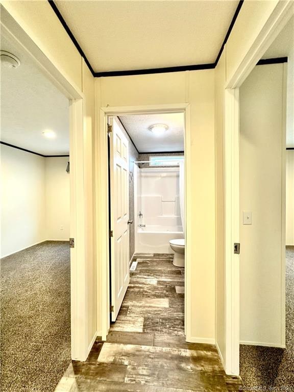 corridor featuring crown molding and dark hardwood / wood-style flooring