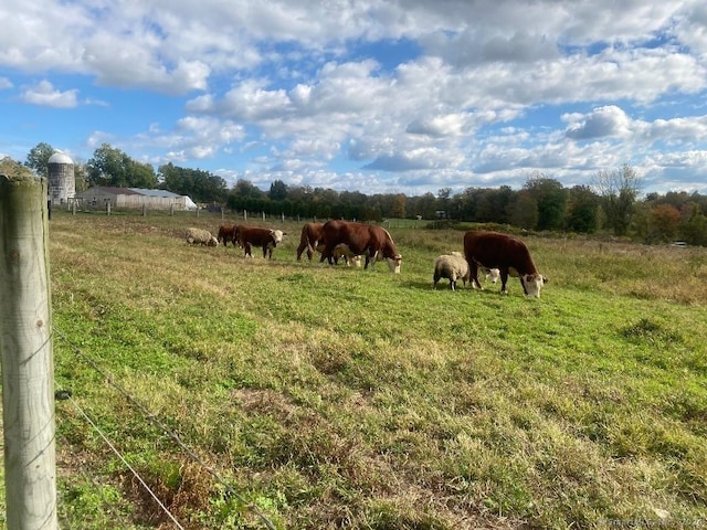 view of yard featuring a rural view