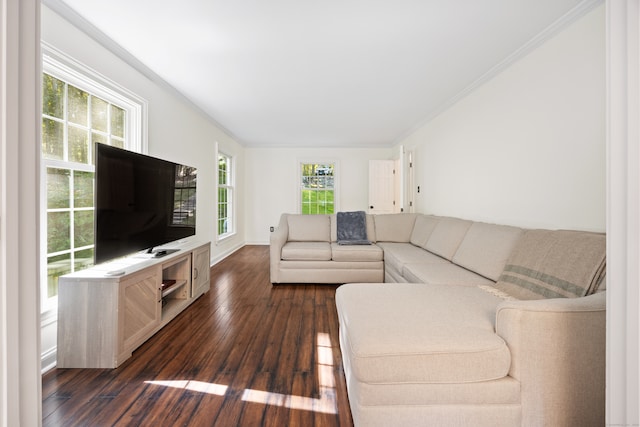 living room with dark hardwood / wood-style floors and crown molding