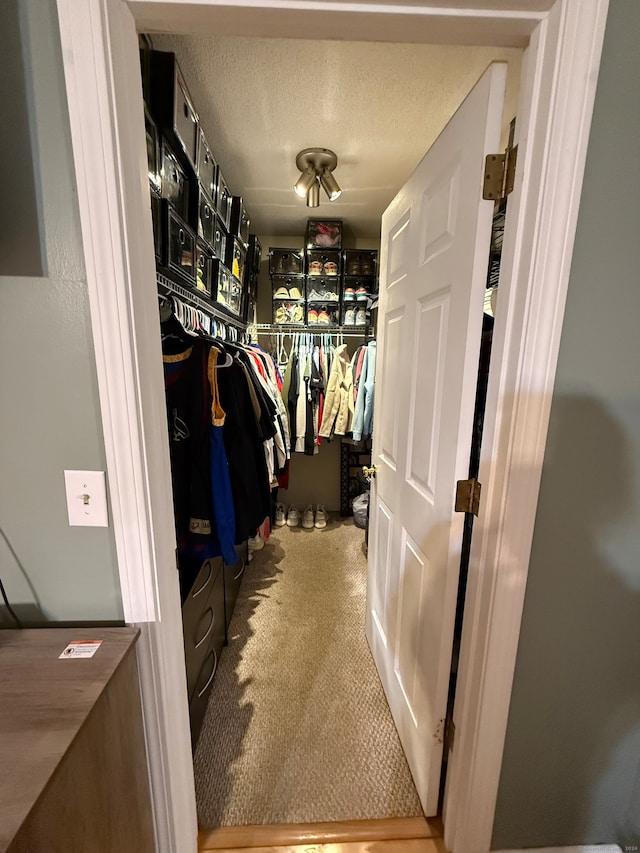 walk in closet with carpet