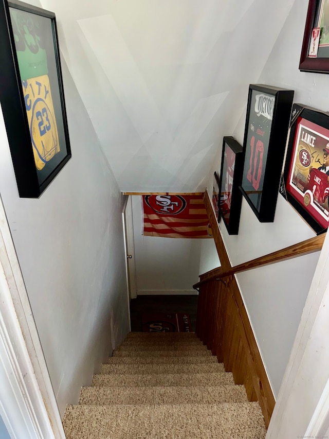 stairs with carpet flooring