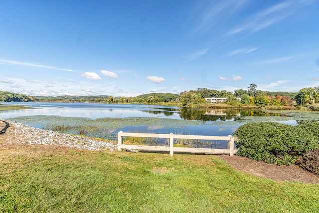 property view of water