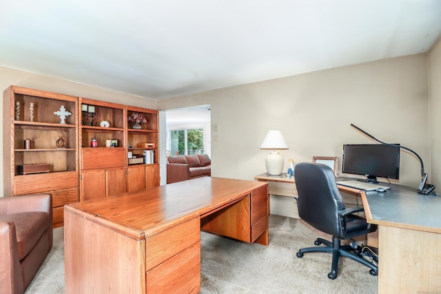 home office featuring light colored carpet