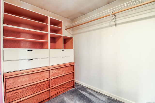 spacious closet with dark colored carpet