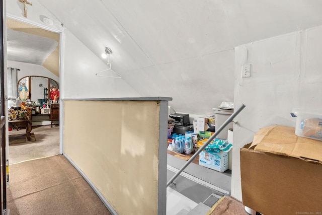 bathroom featuring vaulted ceiling