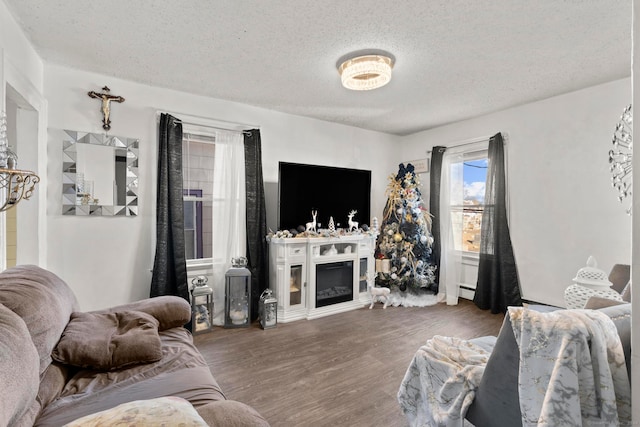 living room featuring a textured ceiling and dark wood-type flooring