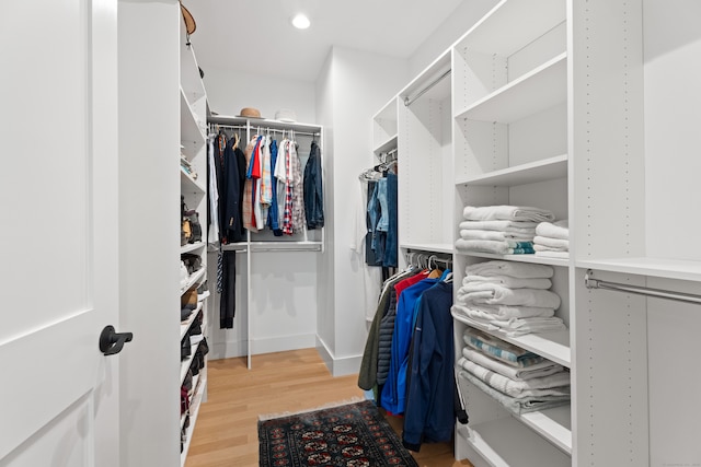 spacious closet featuring wood-type flooring