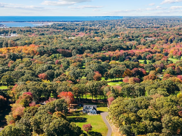 aerial view