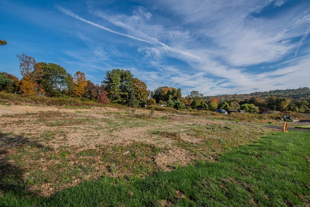 Listing photo 3 for 288 Watertown Rd Lot 5, Middlebury CT 06762