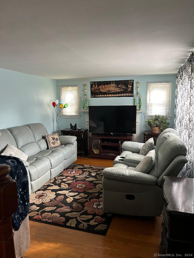 living room featuring hardwood / wood-style floors