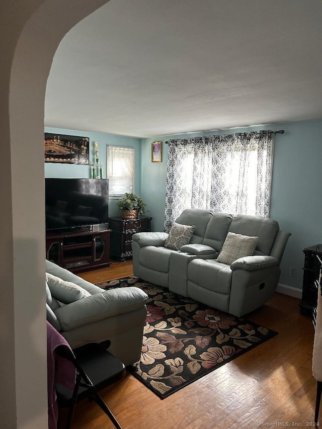 living room with hardwood / wood-style flooring