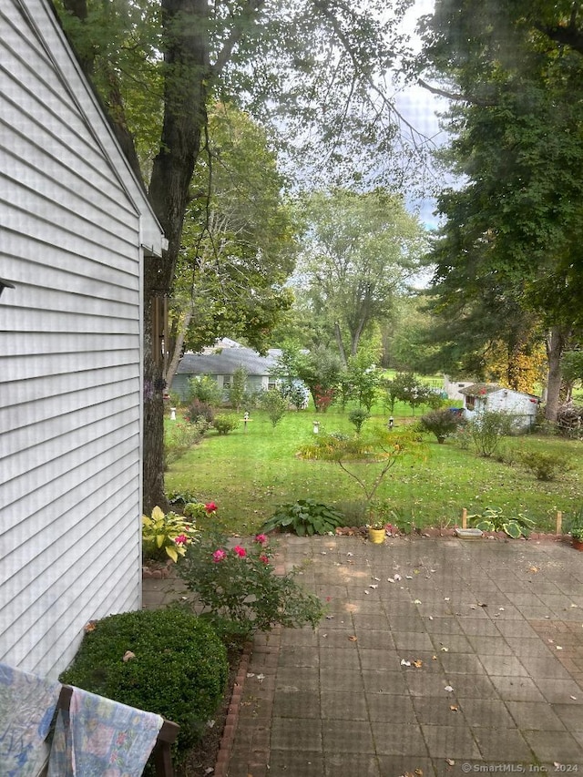 view of yard with a patio