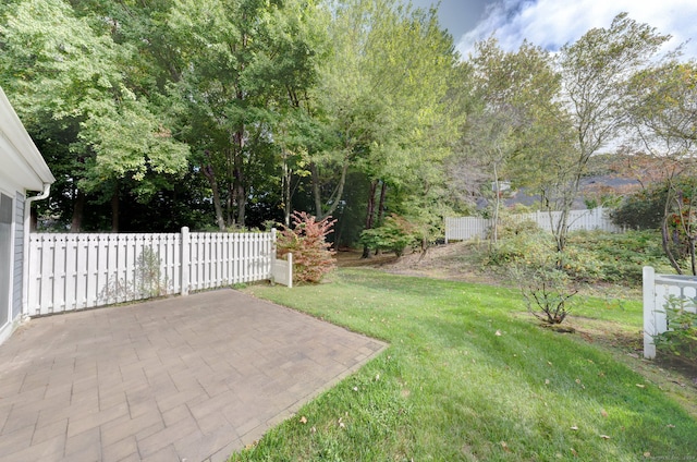 view of yard featuring a patio