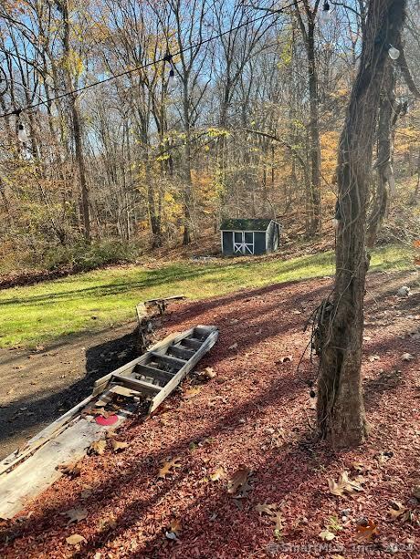 view of yard with a storage shed