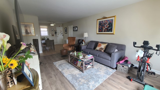 living room with light wood-type flooring and ceiling fan