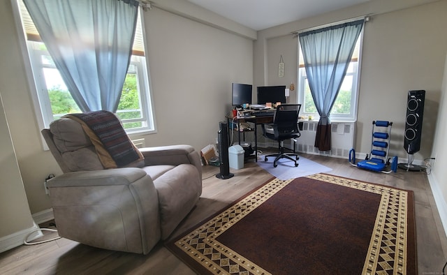 office space featuring a wealth of natural light, radiator, and hardwood / wood-style flooring