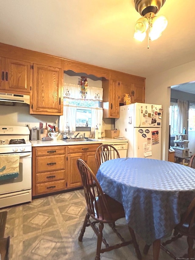 kitchen with sink, ventilation hood, white appliances, and ceiling fan