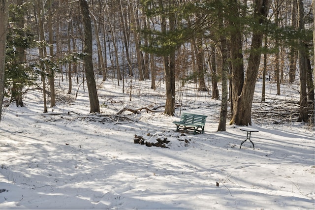 view of surrounding community