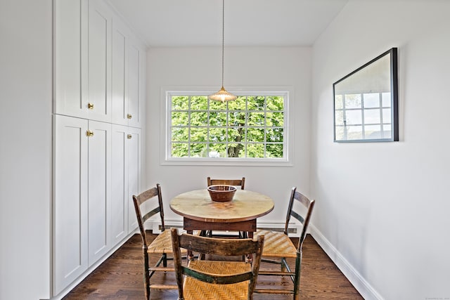 429 Chestnut Land Rd, New Milford, CT 06776 - dining area featuring dark wood-type flooring, baseboard heating, and baseboards