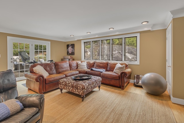 living room featuring light hardwood / wood-style floors, plenty of natural light, and crown molding