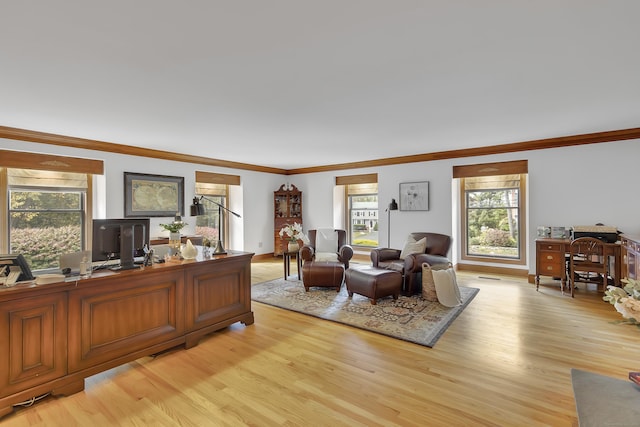 home office with ornamental molding, a wealth of natural light, and light hardwood / wood-style flooring