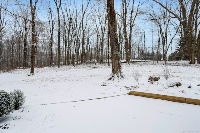 view of yard layered in snow