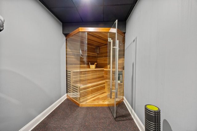 view of sauna with carpet flooring