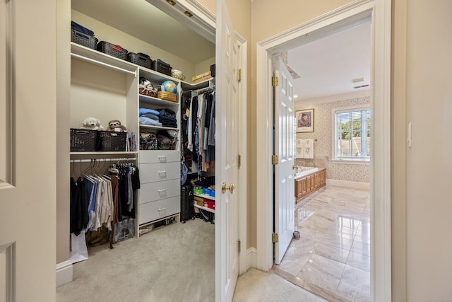 spacious closet with light colored carpet