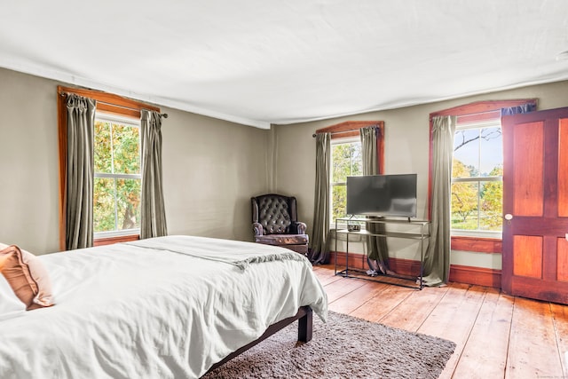 bedroom featuring multiple windows and light hardwood / wood-style floors