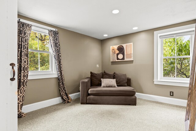 sitting room with carpet floors