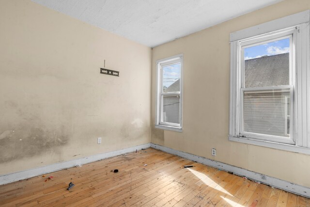 spare room featuring a healthy amount of sunlight and light hardwood / wood-style flooring