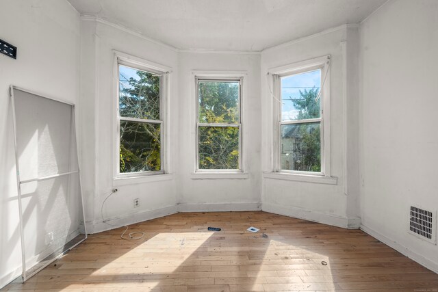 unfurnished room featuring light hardwood / wood-style flooring and a wealth of natural light