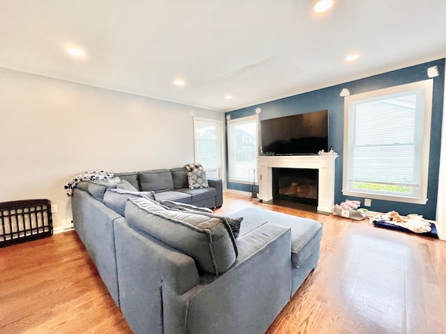 living room featuring hardwood / wood-style flooring