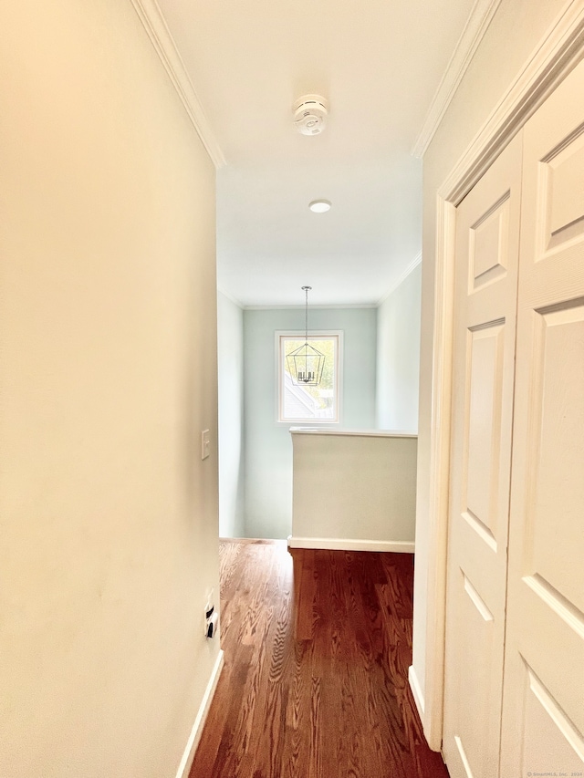 hall with crown molding and hardwood / wood-style floors