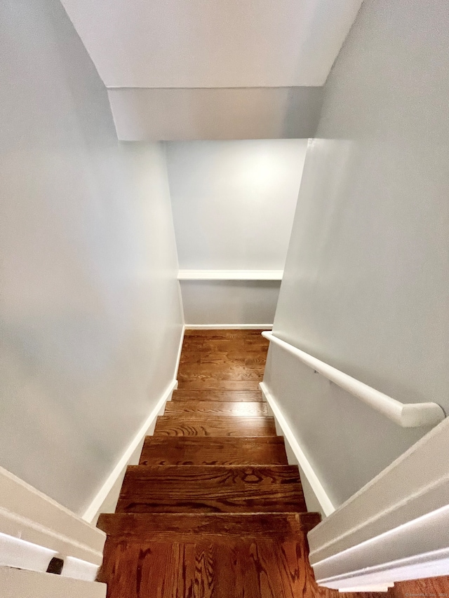 stairway with hardwood / wood-style flooring