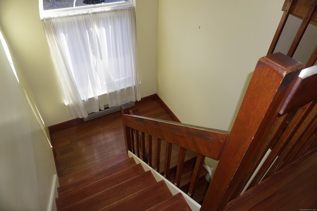 stairway with hardwood / wood-style flooring