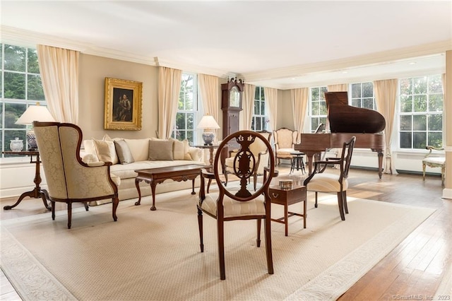 living area with hardwood / wood-style flooring and plenty of natural light