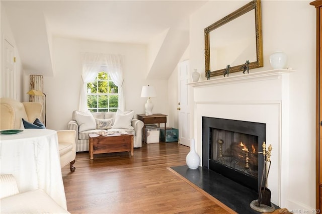 living area featuring dark wood-type flooring