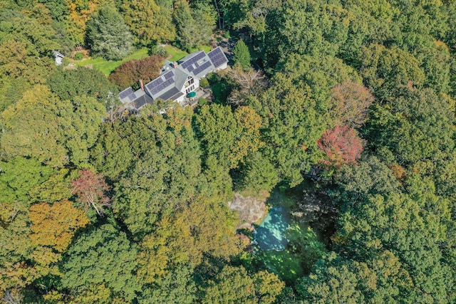 bird's eye view with a view of trees