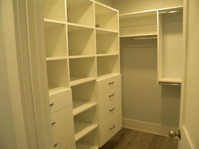 spacious closet featuring dark wood-type flooring