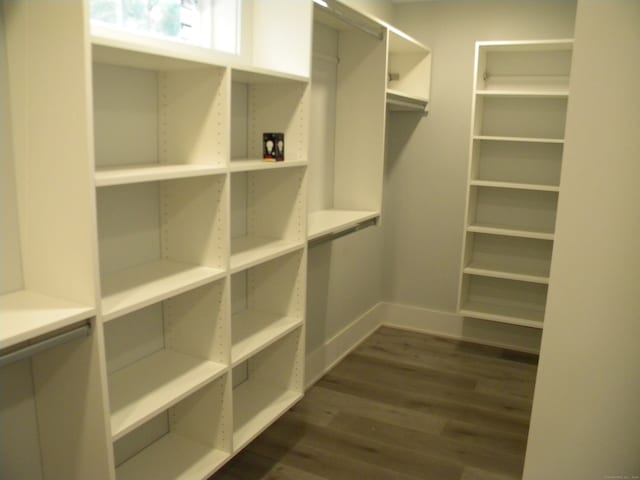 walk in closet with dark hardwood / wood-style flooring