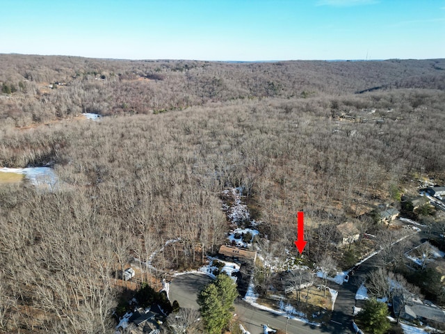 drone / aerial view featuring a view of trees