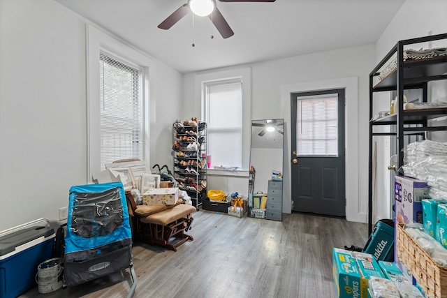 interior space featuring ceiling fan, hardwood / wood-style floors, and a healthy amount of sunlight