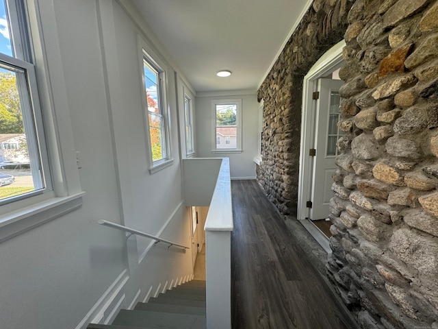 corridor featuring dark hardwood / wood-style floors