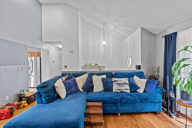 living room with lofted ceiling and light wood-type flooring