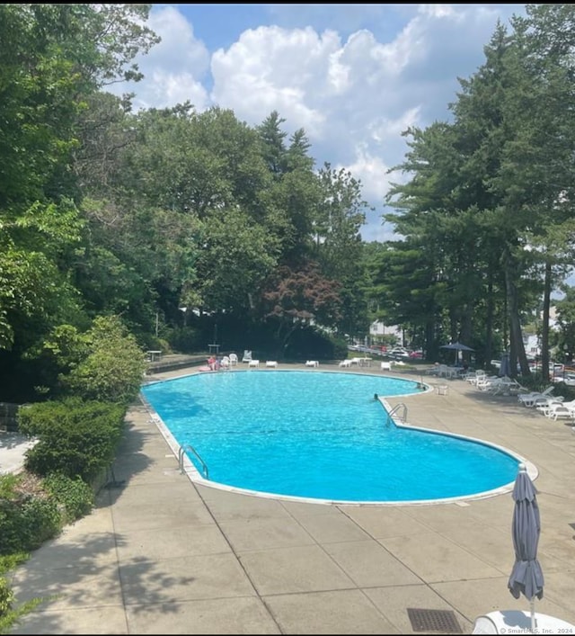 view of swimming pool with a patio