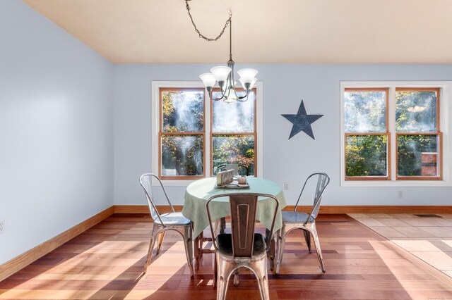 dining room with hardwood / wood-style floors, a notable chandelier, and a wealth of natural light