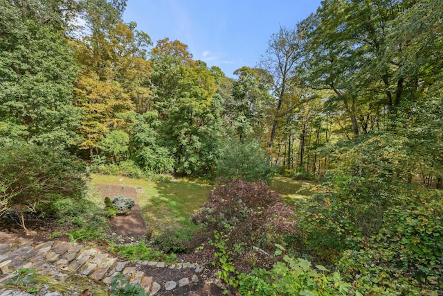 view of nature with a wooded view