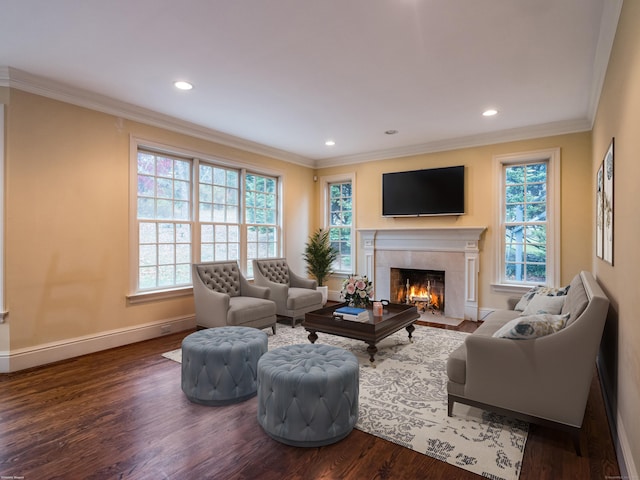 living room featuring crown molding and dark hardwood / wood-style flooring