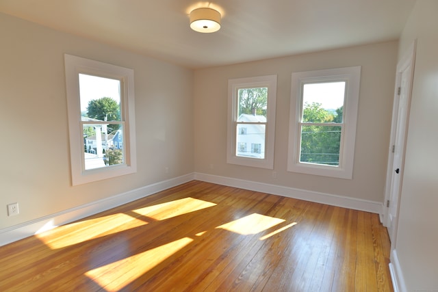 empty room with light hardwood / wood-style flooring and a wealth of natural light